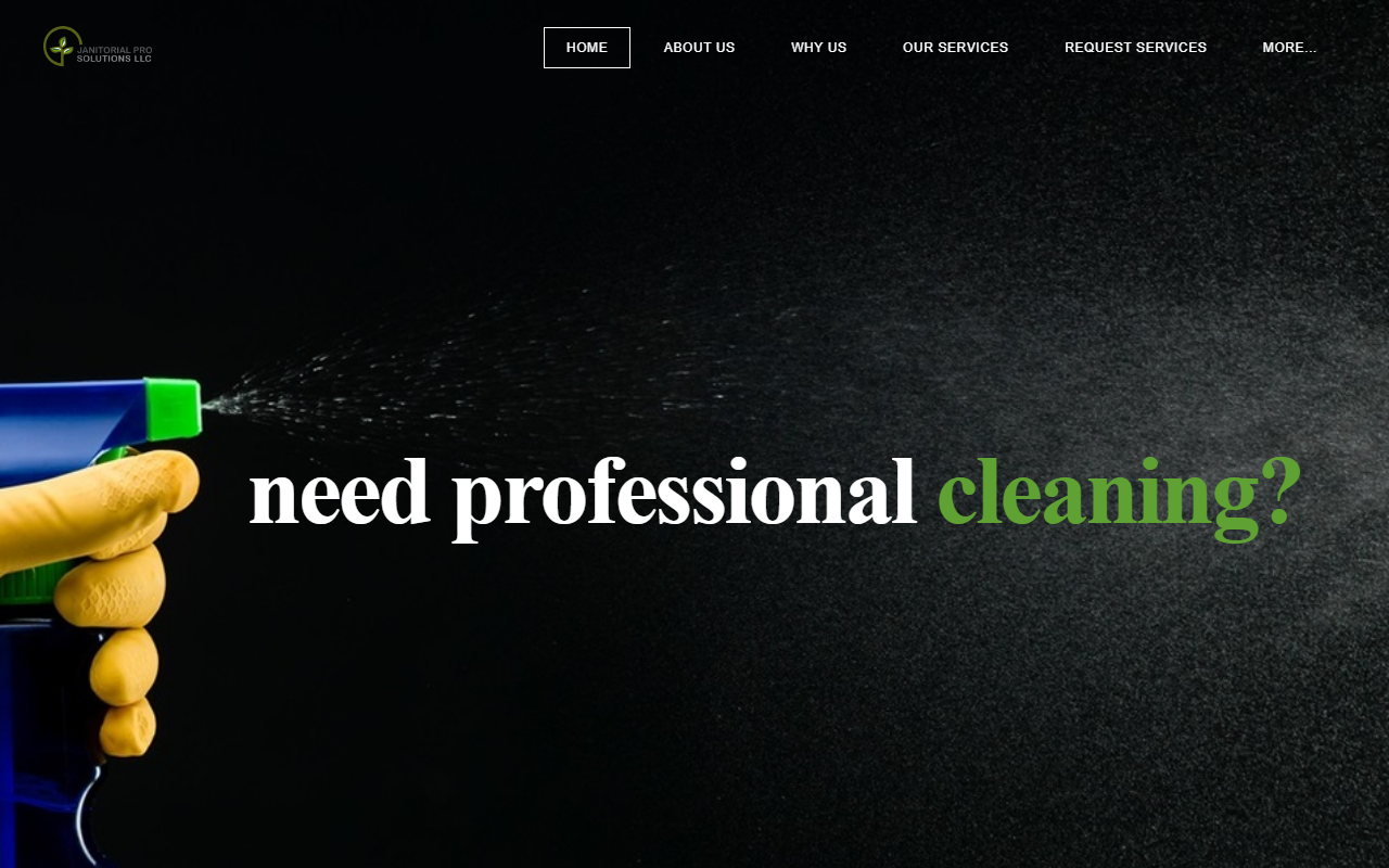 915solutions.com screenshot