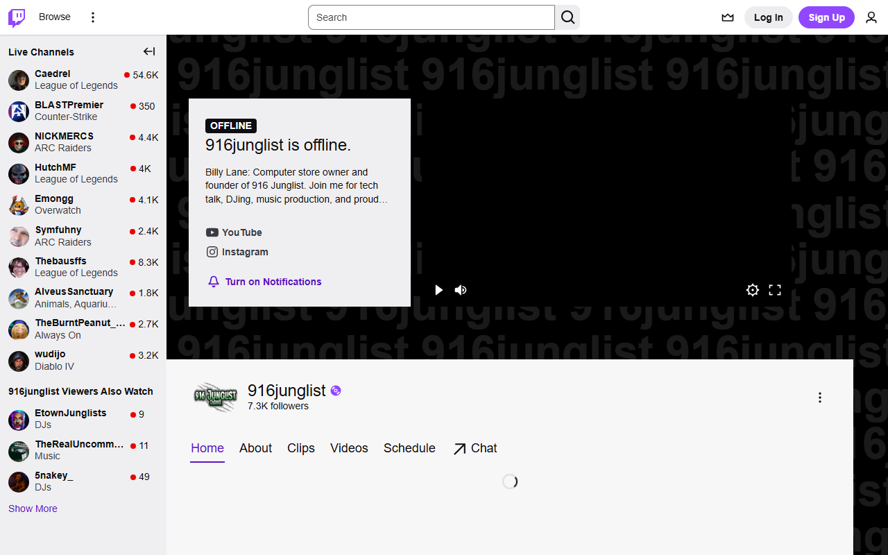 916junglist.com screenshot
