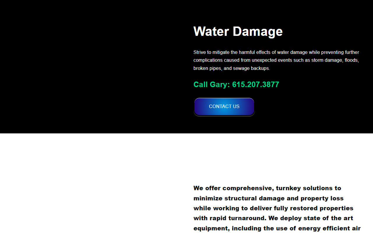 931waterpros.com screenshot
