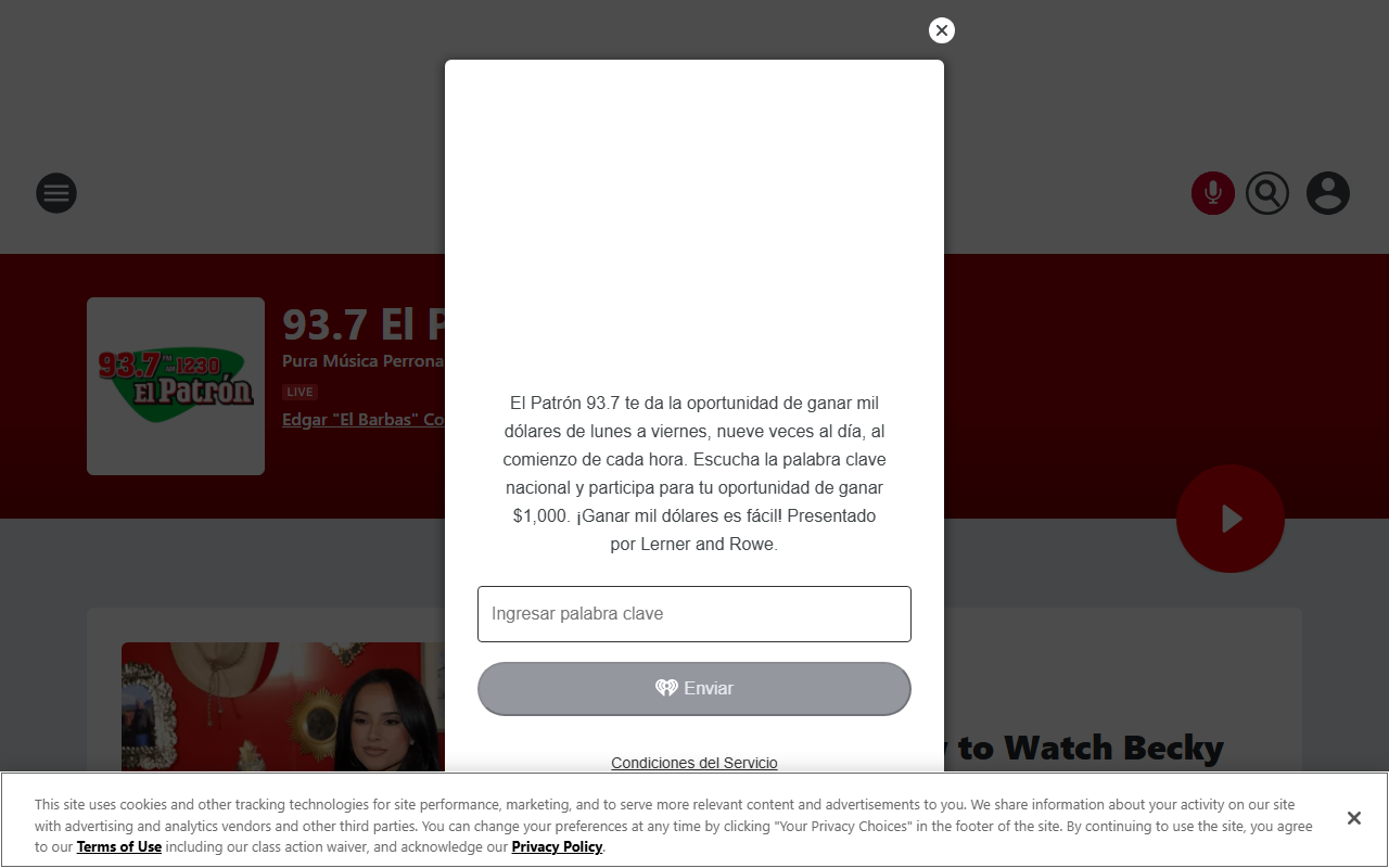 937elpatron.com screenshot