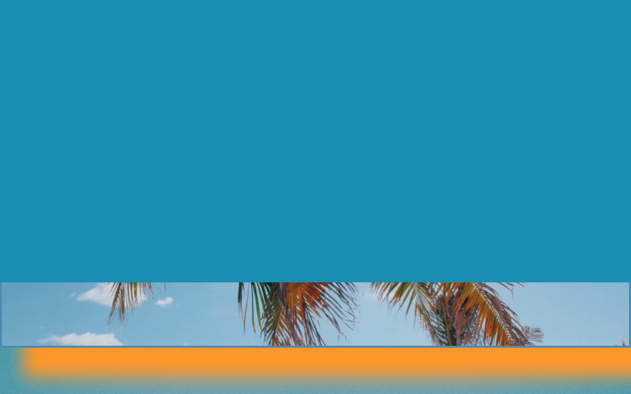 954protocol.com screenshot