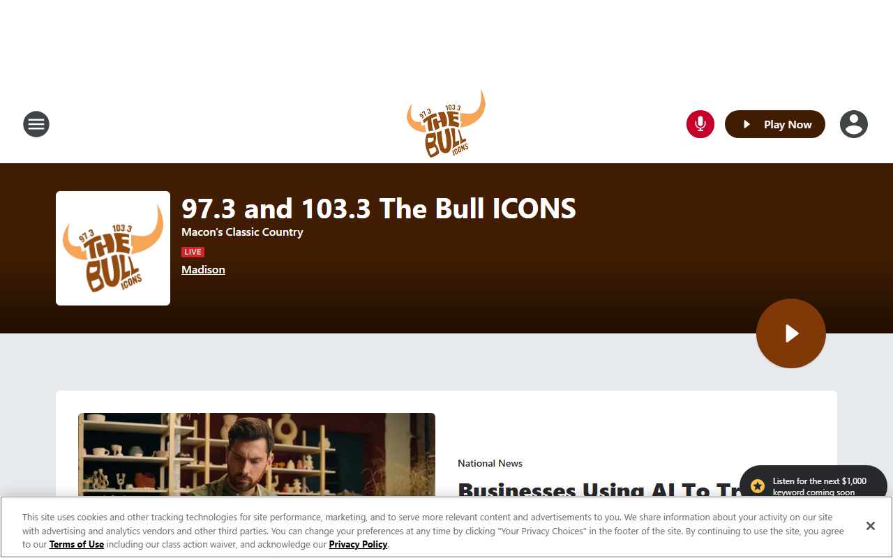 973thebullicons.com screenshot