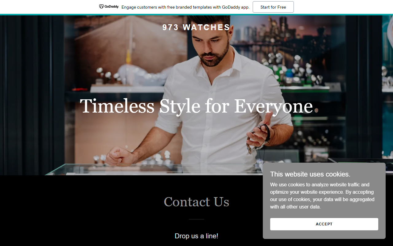 973watches.com screenshot