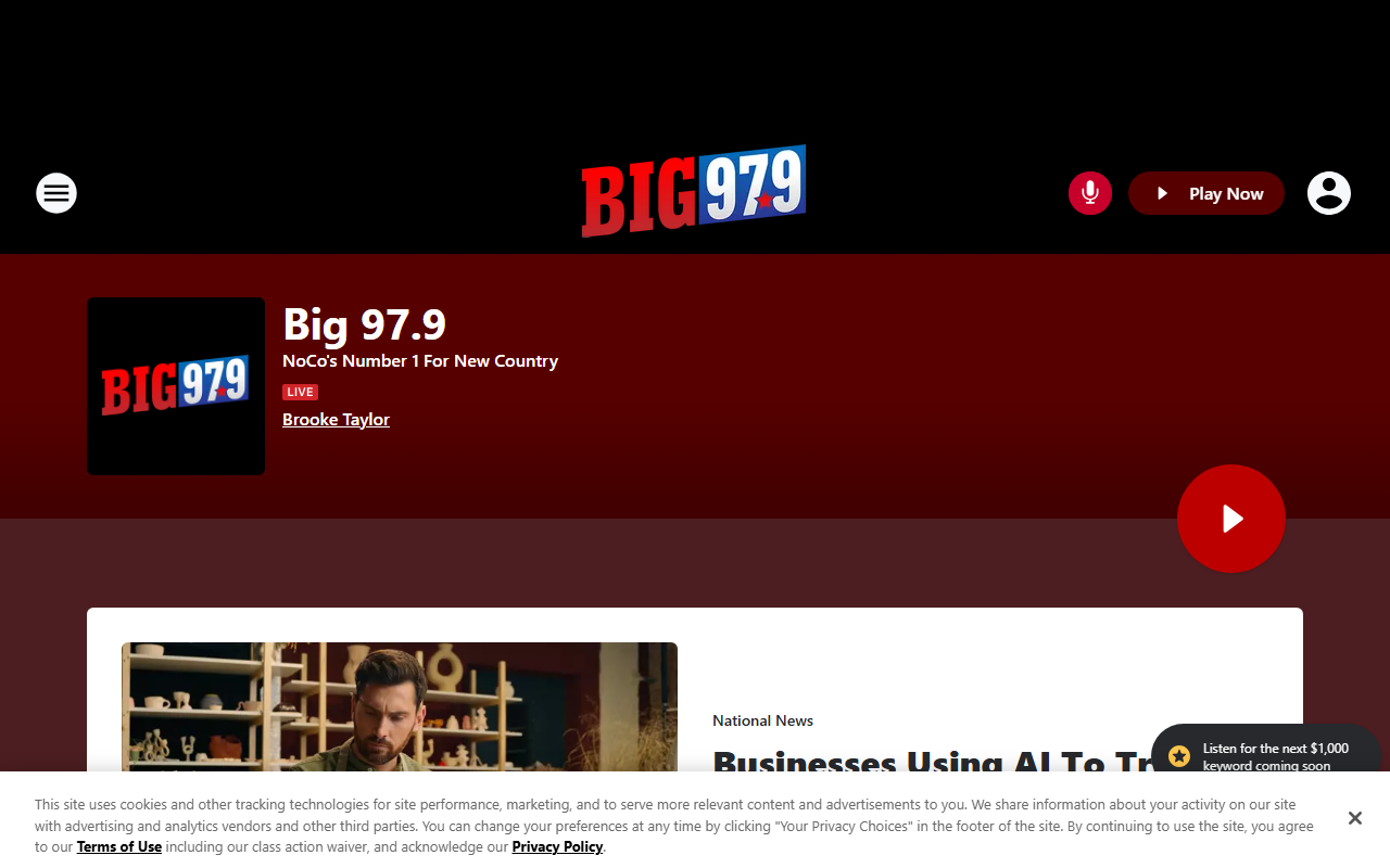 979bigcountry.com screenshot