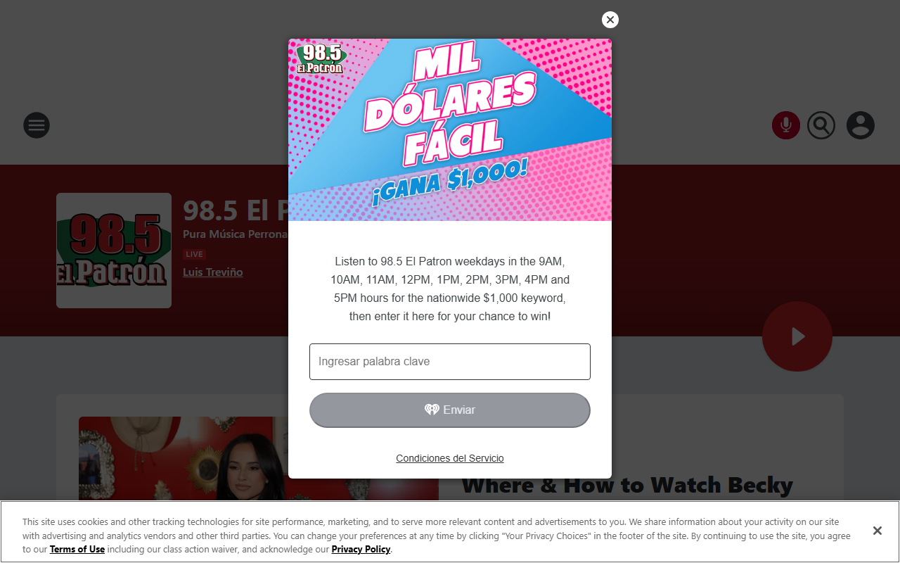 985elpatron.com screenshot